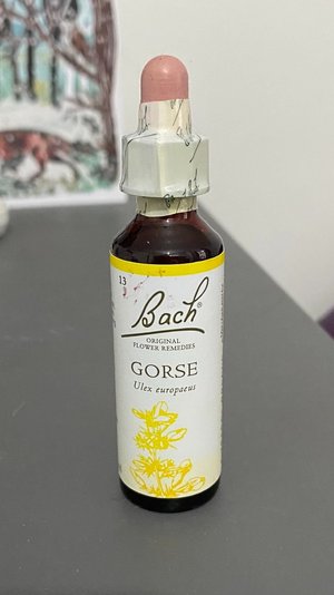 Photo of free Bach Gorse drops flower remedy 20ml (Sale M33)