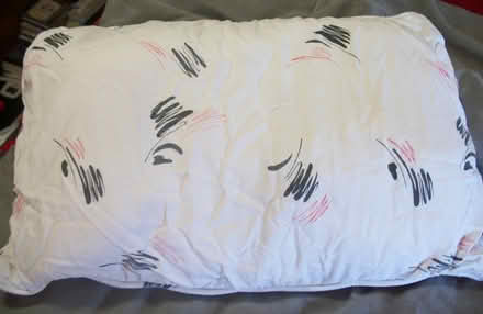 Photo of free Throw Pillow (Oakland) #1