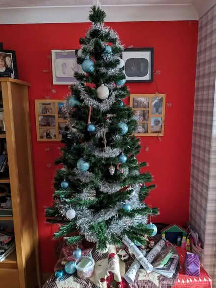 Photo of free Christmas Tree (Bracknell Forest RG12) #4