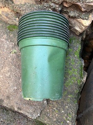 Photo of free Plastic planting pots (sausalito)