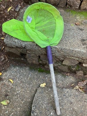 Photo of free small net with handle (sausalito)