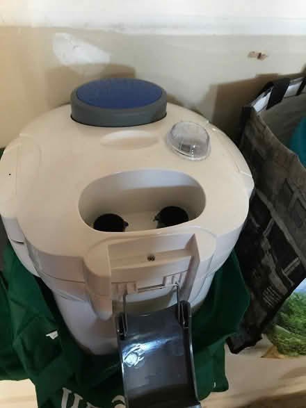 Photo of free Canister filter for aquariums (Darnestown) #1
