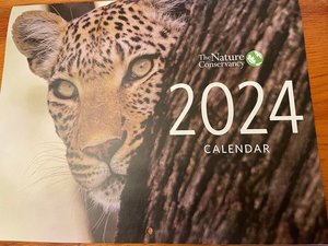 Photo of free wall calendar 2024 (Wedgwood)