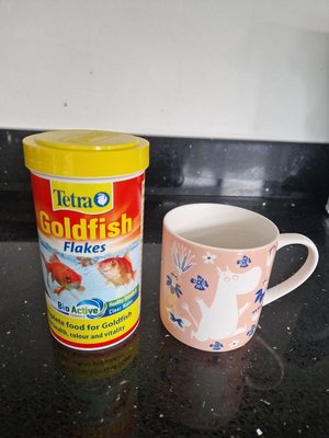 Photo of free Goldfish Flakes (Henleaze BS9)