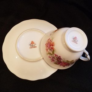Photo of free Cup and Saucer (Bolingbrook, near Menards)