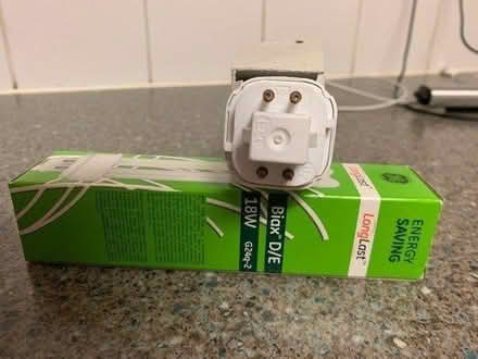 Photo of free 4-Pin light bulbs x2 (IP4 Woodbridge Road) #2