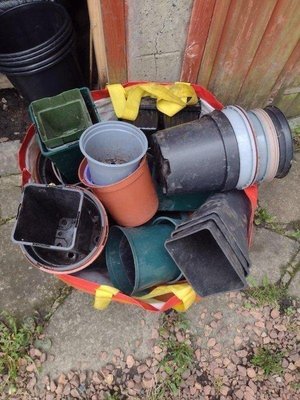 Photo of free Plastic plant pots (Kirkcaldy KY2)