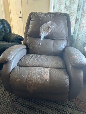 Photo of free Freee Recliner (Albany - eagle hill)