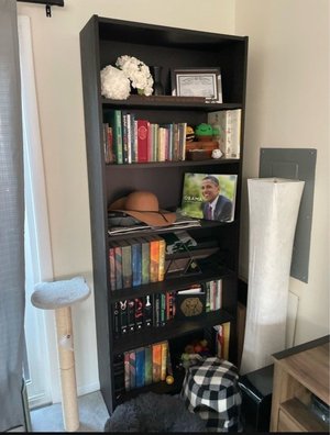 Photo of free Tall IKEA Billy bookshelf (black) (Lake Carmel)