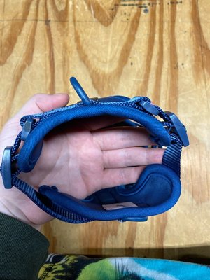 Photo of free Small dog harness (Amityville)