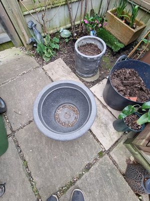 Photo of free MARDEN - Grey plastic plant pot (Marden)