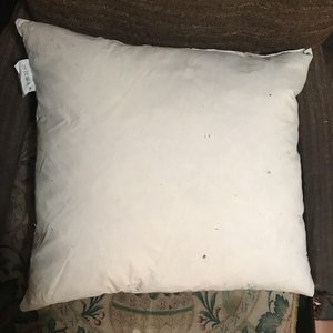Photo of free 3 x 15" cushions (Luddenden Foot HX2)