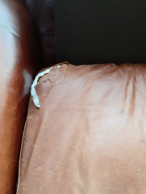 Photo of free Laura Ashley Leather Sofa - Needs TLC (Tolworth KT6)