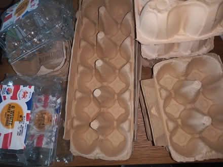Photo of free Many egg trays (Sheffield centre) #1