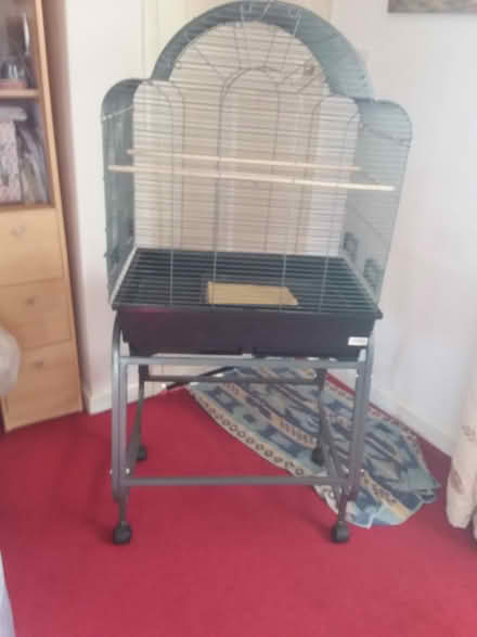 Photo of free Cockatiel cage (South molton) #1