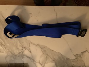 Photo of free Blue nylon strap with buckle (Cleveland Park (near metro))