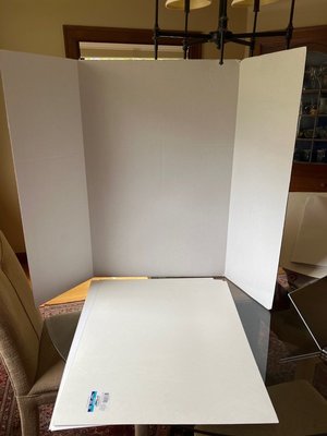 Photo of free Poster board and poster paper (Capitol Hill)
