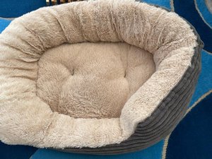 Photo of free Pet bed (North Bretton)