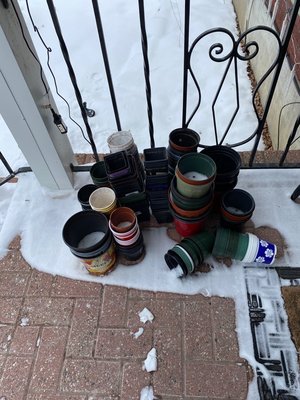Photo of free Potting/seedling containers ((Fraser and richmond Rd))