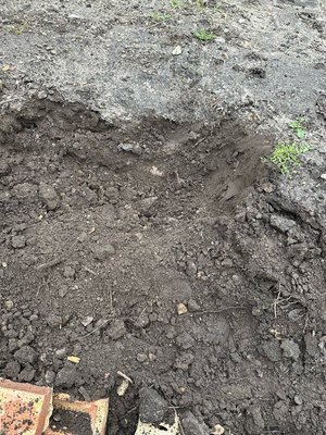 Photo of free Soil - good quality garden soil (Crowthorne RG45 7)