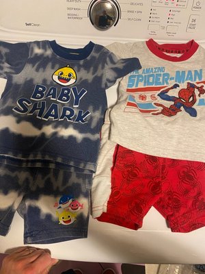 Photo of free Toddler play clothes - 18 M (Seidls Lake Park)