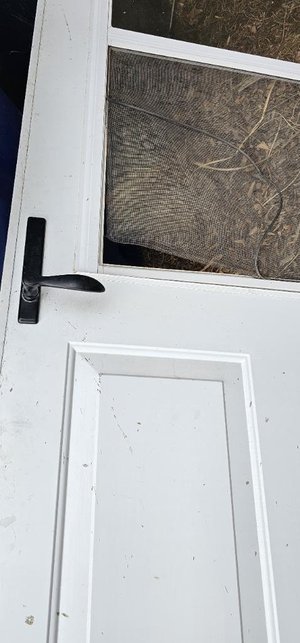 Photo of free Screen Door (Carlisle / Gibson)