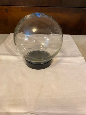 Photo of free Glass Floral display globe (Fremont)