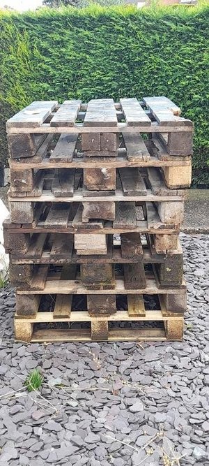 Photo of free Used Wooden Pallets (Shelton Lock DE24)
