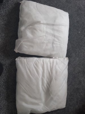 Photo of free Two cushion inners (EH25 Bilston)