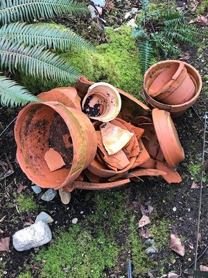 Photo of free broken clay pots (North Nanaimo)
