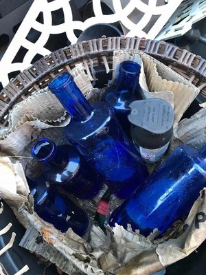 Photo of free Plant pots and bottles (Upton CH49)