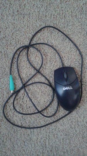 Photo of free Dell mouse (Oswego off Route 31)