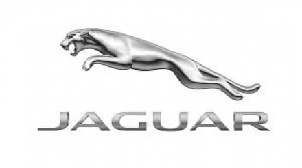 Photo of Anything Jaguar related (Kenilworth CV8) #1