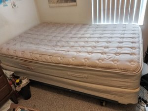 Photo of free Queen bed (Tarpon Springs)