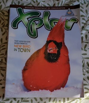 Photo of free Xlpor magazine (Kirkwood)
