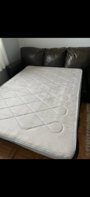 Photo of free Pullout couch (South hill)