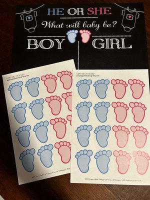 Photo of free Gender Reveal poster and stickers (Croydon NSW)