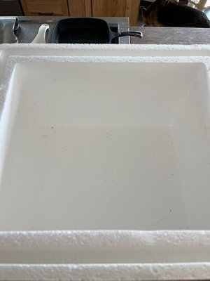 Photo of free Two Styrofoam Coolers (Near Vine and Shields)