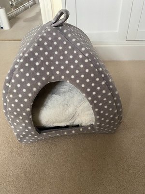 Photo of free Cat/Puppy Bed (Midhurst)