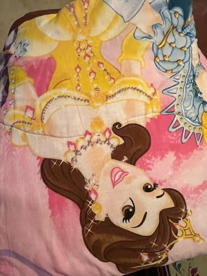 Photo of free Disney Princesses comforter (San Antonio / El Camino)
