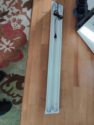 Photo of free 2 4ft Plug-In Shop Lights (Upper Queen Anne)