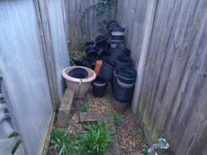 Photo of free 3 litre and larger plant pots (Cashes Green GL5)