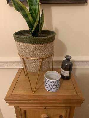 Photo of free Plant stand + other bits! (Bakewell DE45)