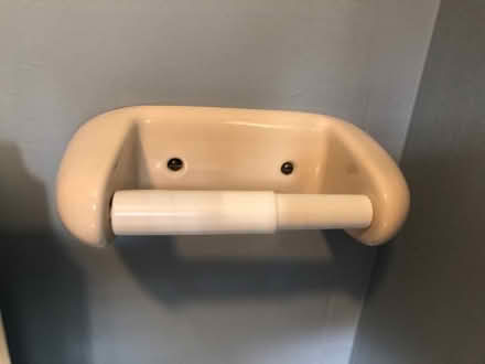 Photo of free Toilet Roll holder (Burridge PO15) #1
