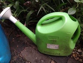 Photo of free 9 litre plastic watering can (inner west Sydney)