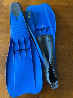 Photo of free Flippers size 9 to 10 (Woodloes Park, Warwick CV34)