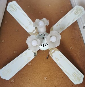 Photo of free Electric Ceiling fan (Skelersdale)