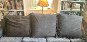 Photo of free Large Couch Pillows (North Cleveland Park)