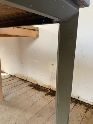 Photo of free Sturdy work table (Mylor Bridge TR11)