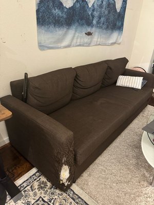Photo of free Large Sofa Futon (Montrose)